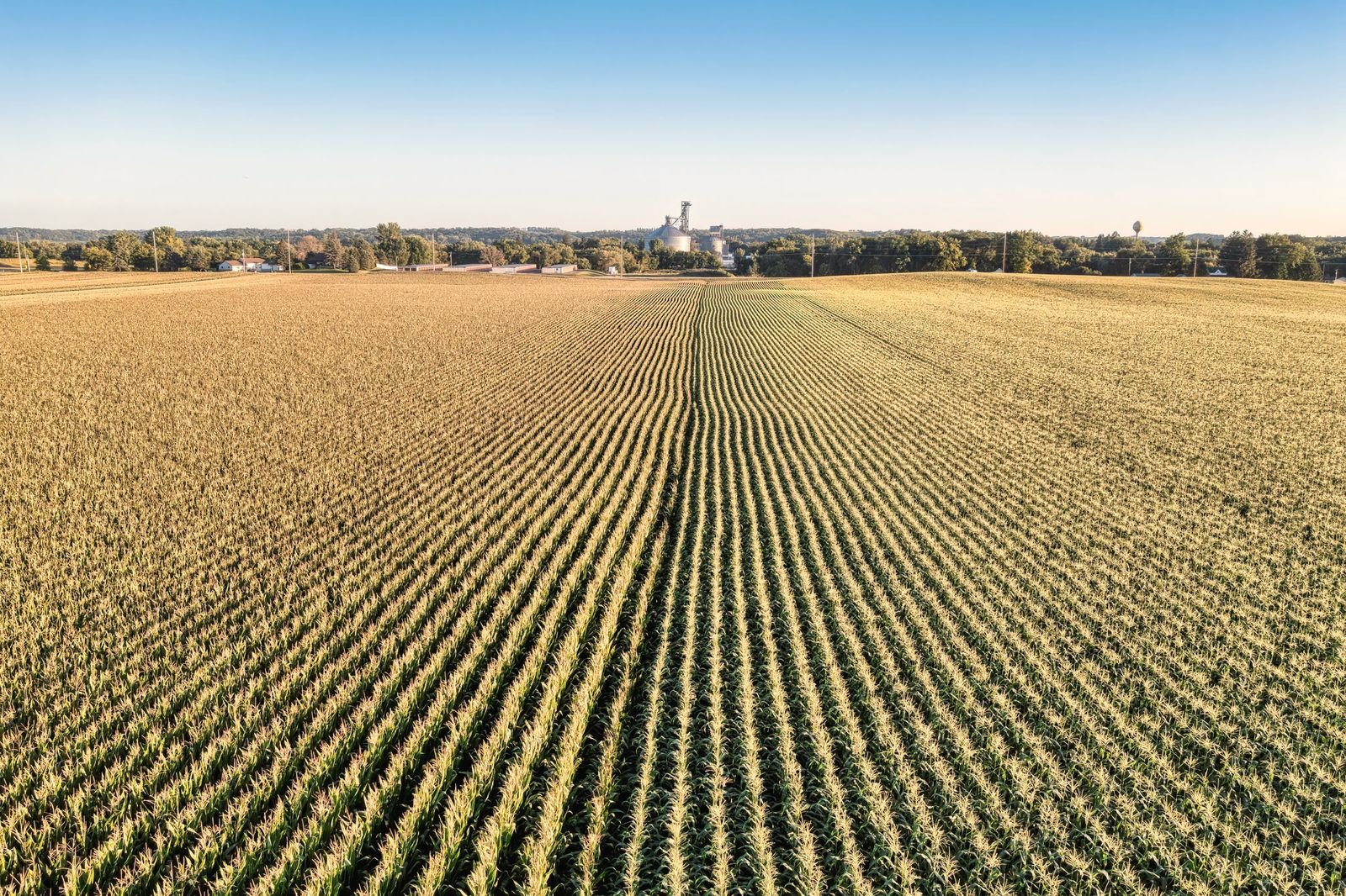 Corn rows running to a flat horizon with a grain elevator in the distance, seen from low altitude