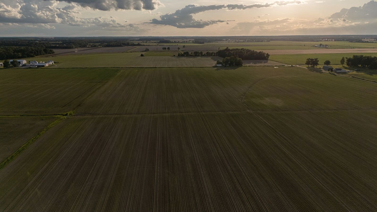 Flat row-crop country in evening light, farmsteads scattered along the horizon